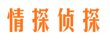 垫江侦探公司